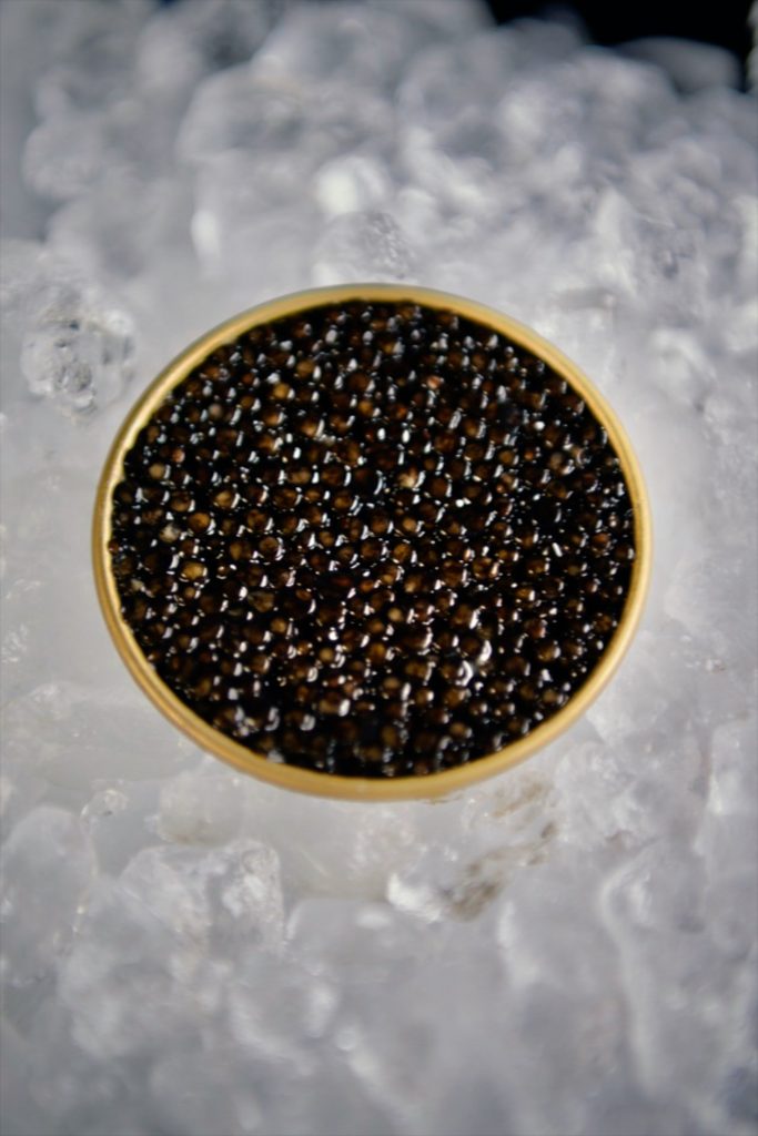 photos caviar 14