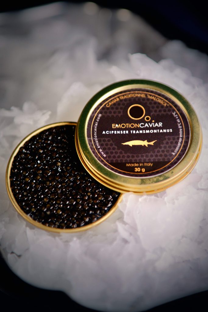 photos caviar 16